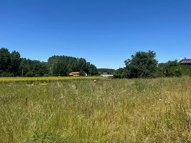Maison neuve, 104 m² - Saint-Didier-de-Formans (01600)