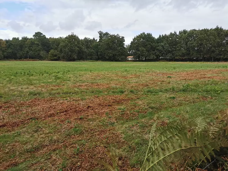 Terrain à bâtir, 450 m² - Hourtin (33990)