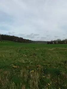 Terrain à bâtir, 890 m²