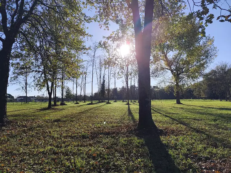 Terrain à bâtir, 700 m² - Queyrac (33340)