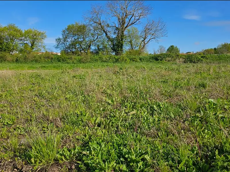 Terrain à bâtir, 753 m² - Les Mathes (17570)