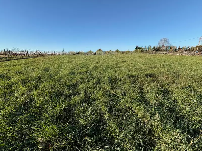 Terrain à bâtir, 560 m² - Capian (33550)