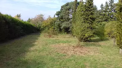 Maison neuve, 90 m²