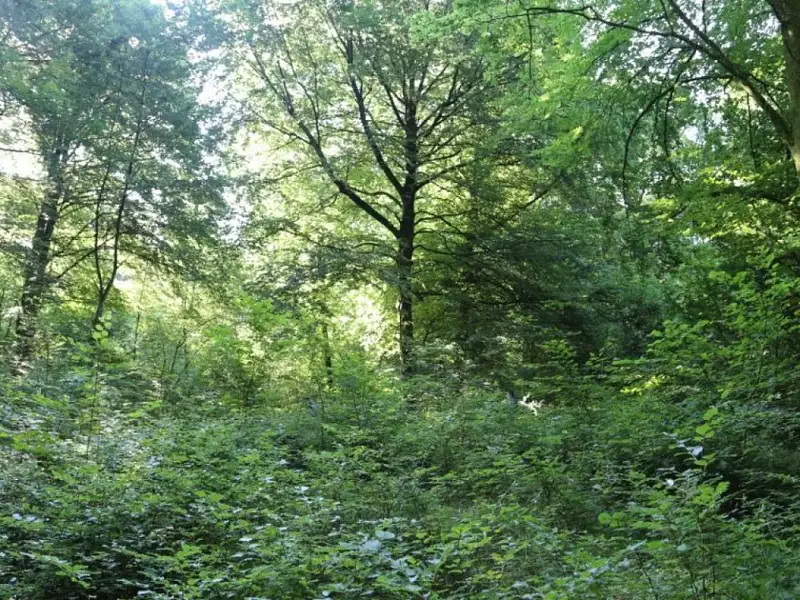 Terrain à bâtir, 2 500 m² - Aubevoye (27940)