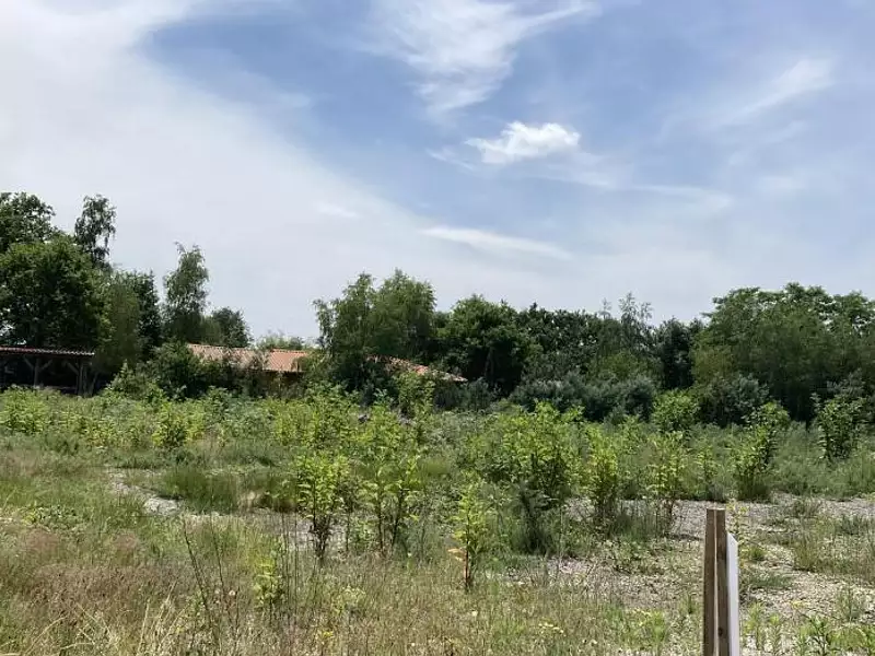 Terrain à bâtir, 479 m² - Saucats (33650)