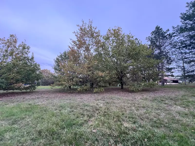 Terrain à bâtir, 1 260 m² - Pechbonnieu (31140)