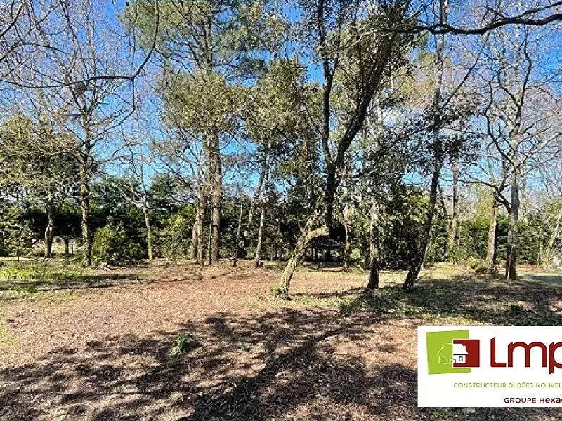 Maison neuve, 61 m² - Sallertaine (85300)