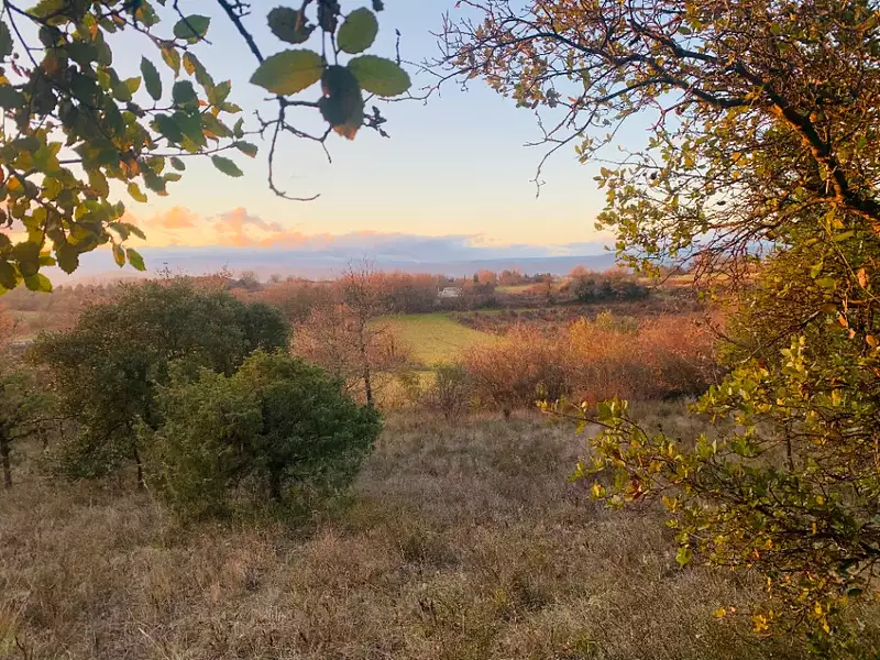 Maison neuve, 160 m² - Barjac (30430)