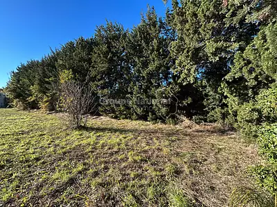 Maison neuve, 90 m²