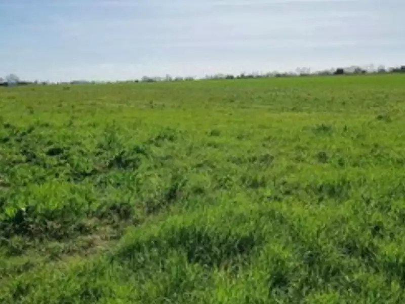 Terrain à bâtir, 460 m² - La Rochelle (17000)
