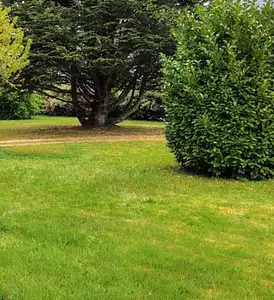 Terrain à bâtir, 490 m²