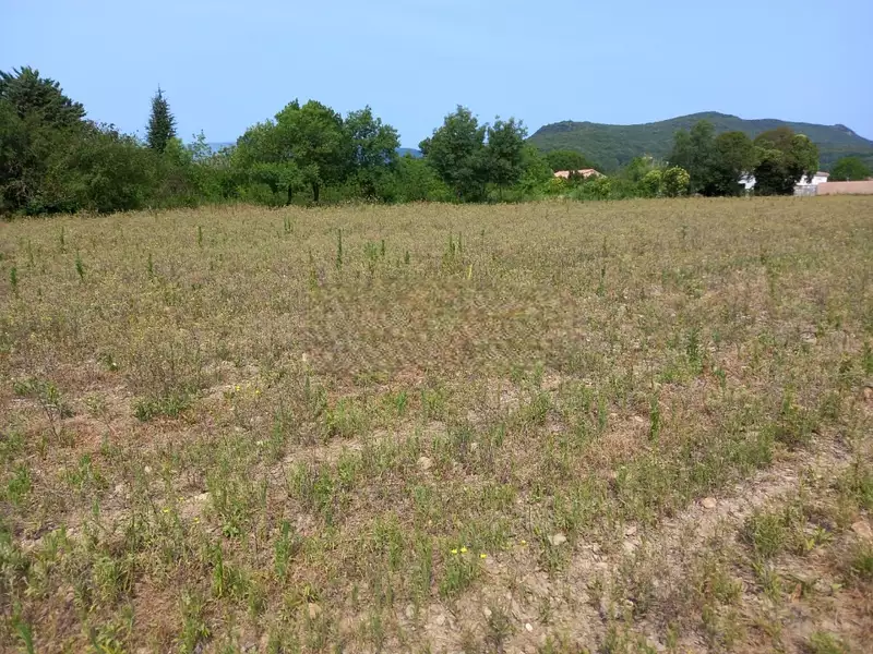 Terrain à bâtir, 900 m² - Hérépian (34600)