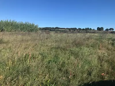 Terrain à bâtir, 265 m²