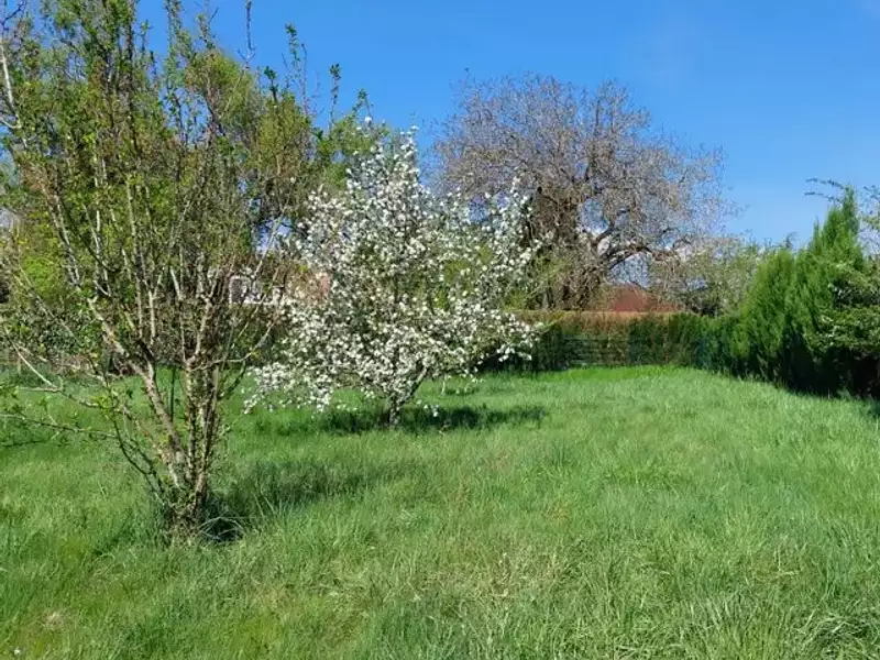 Terrain à bâtir, 656 m² - Virey-le-Grand (71530)