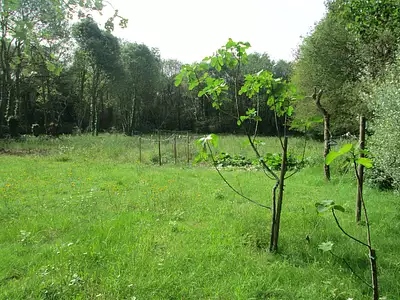 Terrain à bâtir, 975 m²