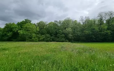 Maison neuve, 90 m²