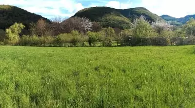 Terrain à bâtir, 2 550 m²