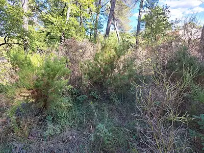 Maison neuve, 98 m²