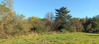 Terrain à bâtir, 1 980 m²