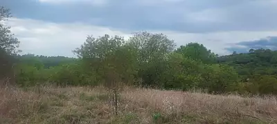 Terrain à bâtir, 1 131 m²