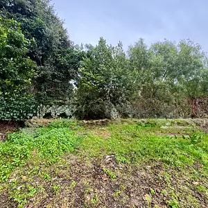 Maison neuve, 130 m²