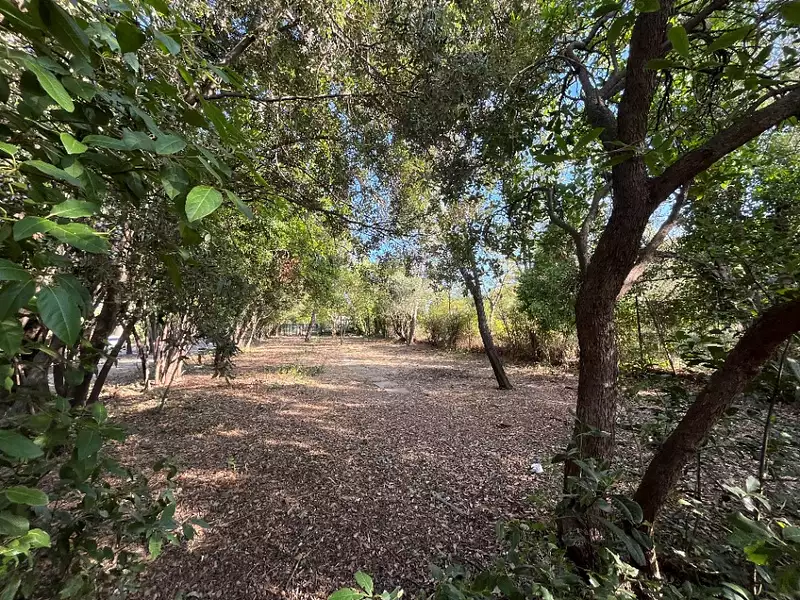 Terrain à bâtir, 670 m² - Cuers (83390)