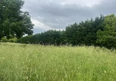 Terrain à bâtir, 540 m²