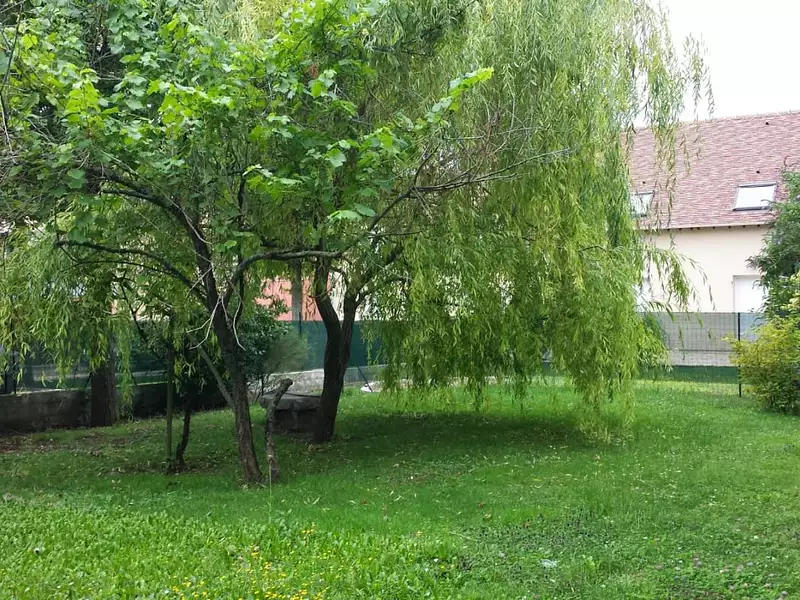 Maison neuve, 100 m² - Morsang-sur-Orge (91390)