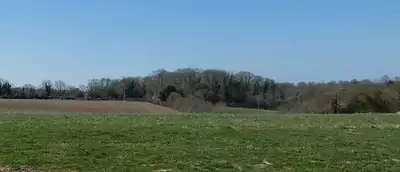 Terrain à bâtir, 1 450 m²