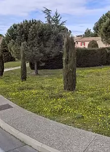 Terrain à bâtir, 427 m²