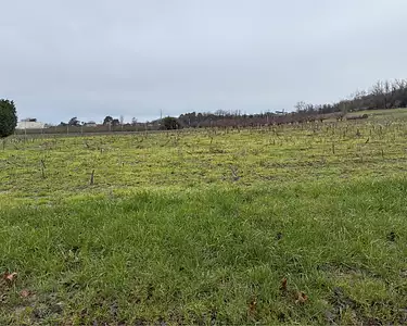 Maison neuve, 90 m²