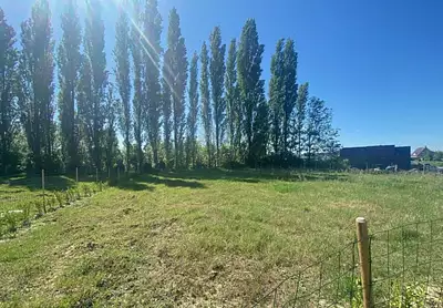 Maison neuve, 115 m²