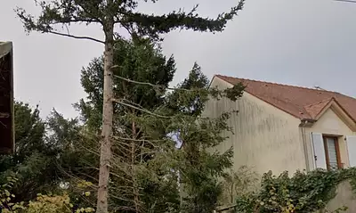 Terrain à bâtir, 644 m²