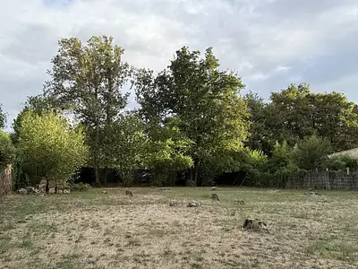 Terrain à bâtir, 1 043 m²