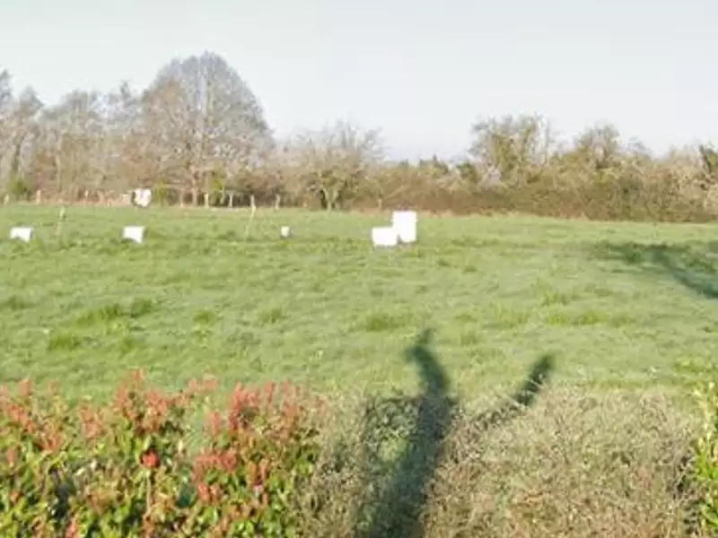 Terrain à bâtir, 638 m² - Seignelay (89250)