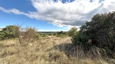 Maison neuve, 110 m²