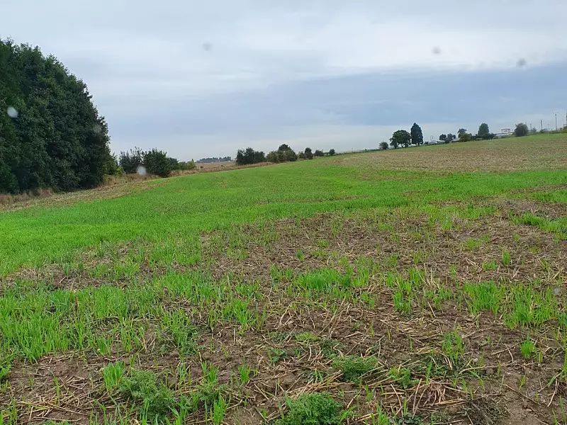 Maison neuve, 113 m² - Monchy-Breton (62127)