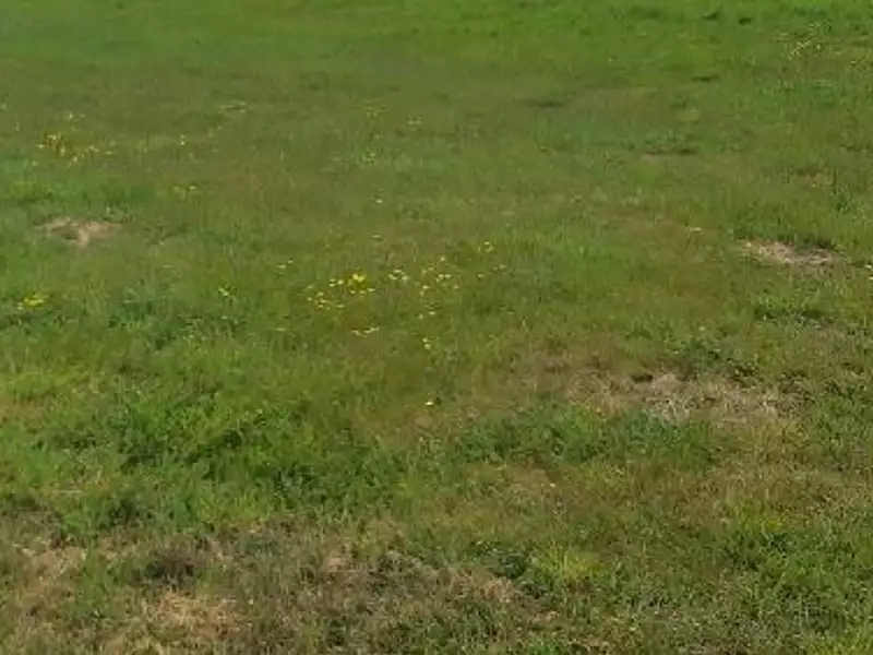 Terrain à bâtir, 1 221 m² - La Plaine-sur-Mer (44770)