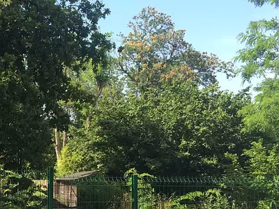 Maison neuve, 90 m²