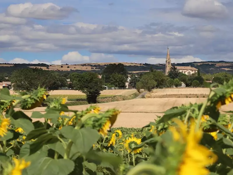 Terrain à bâtir, 840 m² - Peyrens (11400)