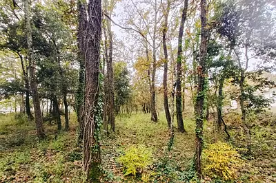 Terrain à bâtir, 700 m²