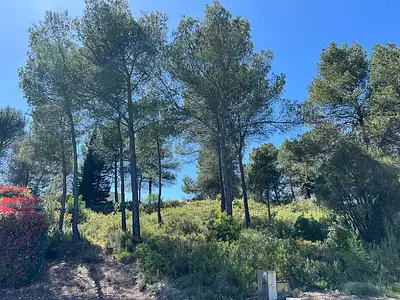 Maison neuve, 120 m²