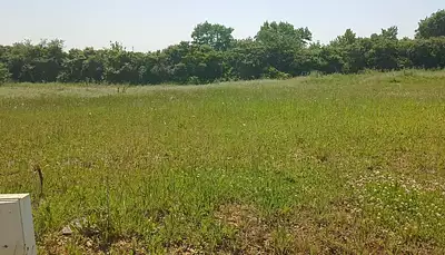 Terrain à bâtir, 455 m²