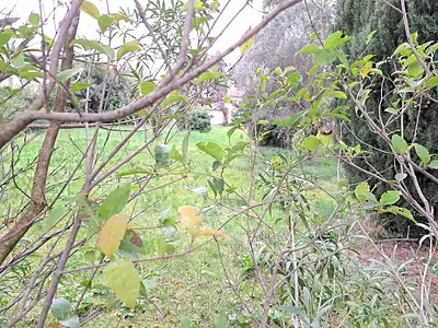 Maison neuve, 70 m²