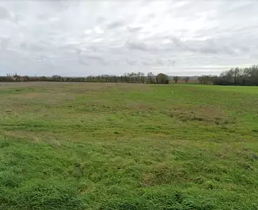 Maison neuve, 80 m²