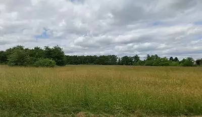 Terrain à bâtir, 519 m²