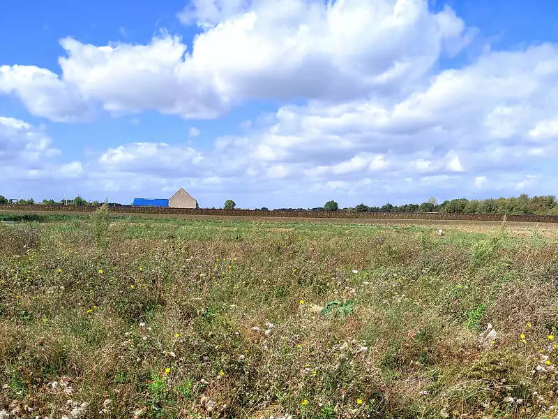 Terrain à bâtir, 500 m² - Beaumont-Louestault (37360)