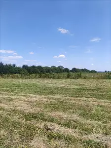 Terrain à bâtir, 450 m²