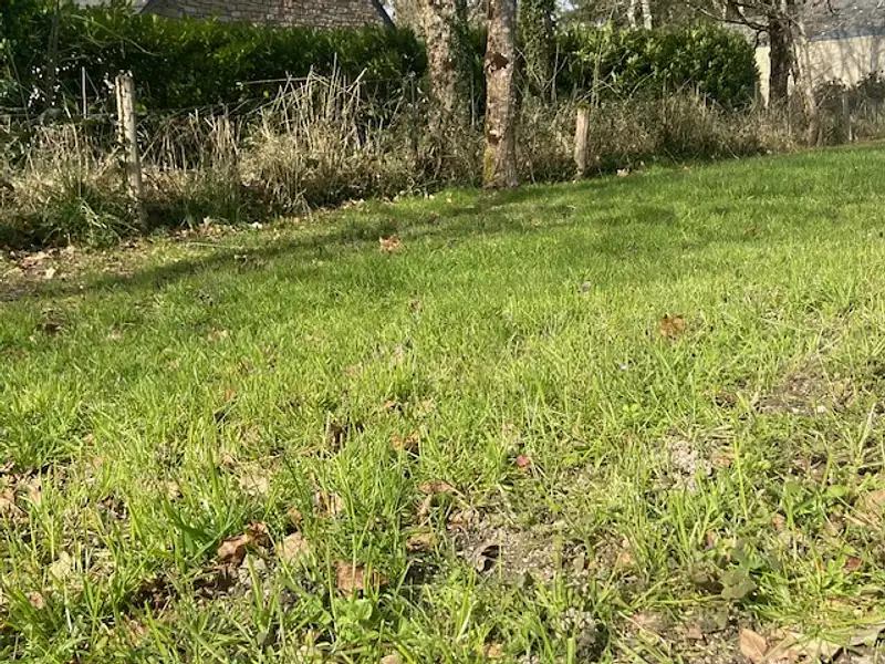 Terrain à bâtir, 700 m² - La Chapelle-des-Marais (44410)