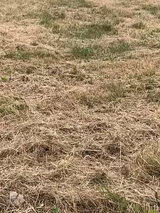 Maison neuve, 80 m²